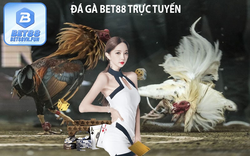 Đá gà bet88 trực tuyến