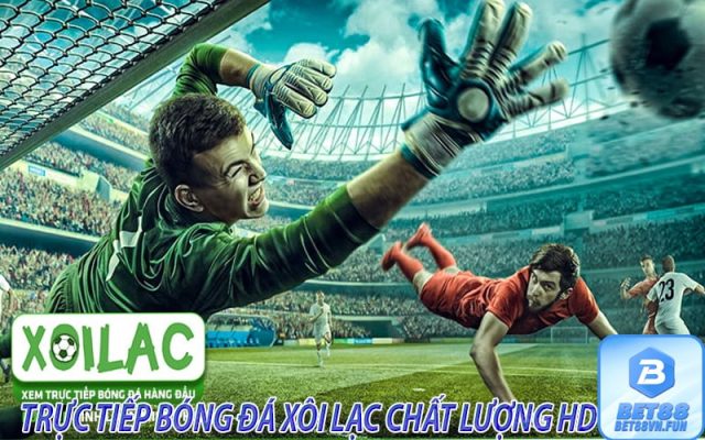 Trực tiếp bóng đá