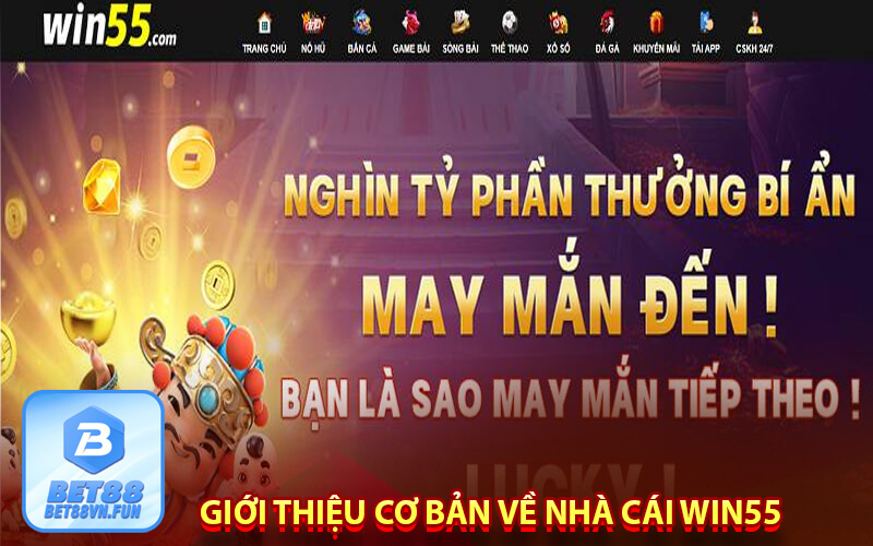 Giới thiệu cơ bản về nhà cái Win55