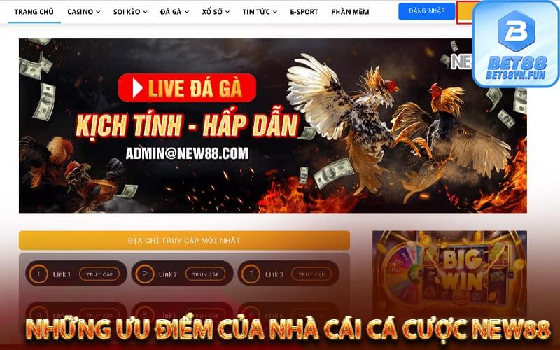 Những ưu điểm của nhà cái cá cược New88 