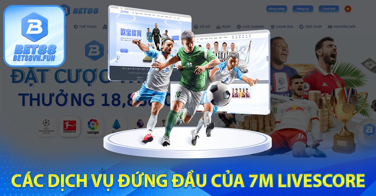 Các dịch vụ đứng đầu của 7m livescore